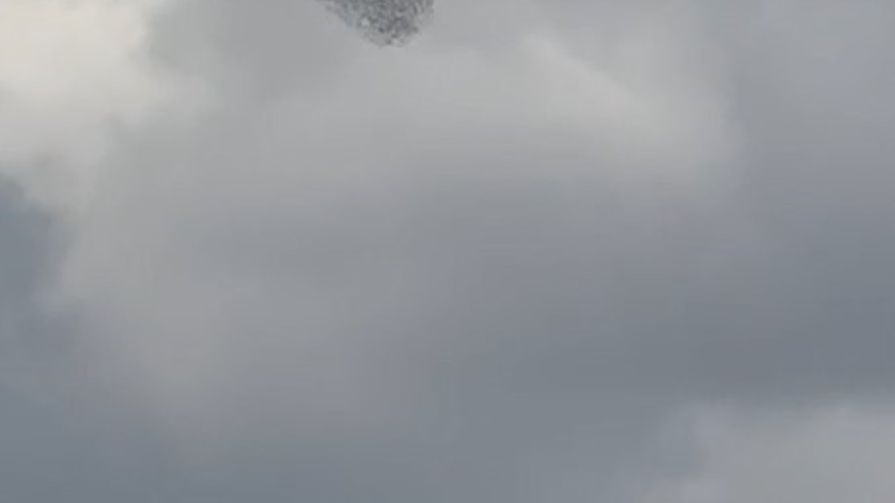 Sığırcıkların dansı görenleri büyüledi