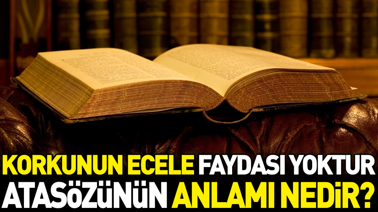 Korkunun ecele faydası yoktur atasözünün anlamı nedir?
