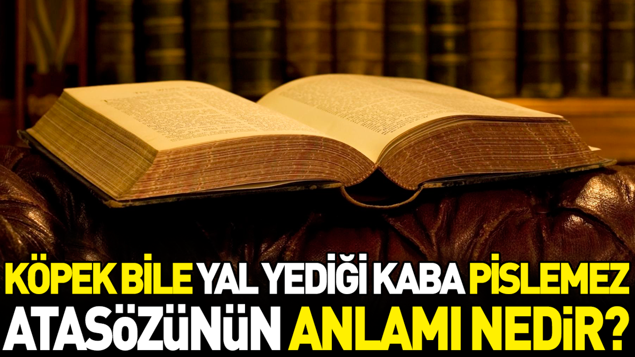 Köpek bile yal yediği kaba pislemez atasözünün anlamı nedir?