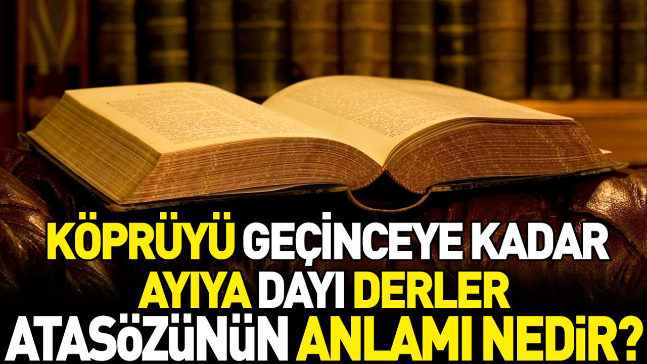 Köprüyü geçinceye kadar ayıya dayı derler atasözünün anlamı nedir?