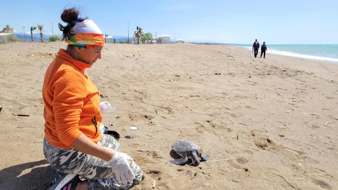 Nesli tükenme tehlikesi altındaki hayvan ölü bulundu