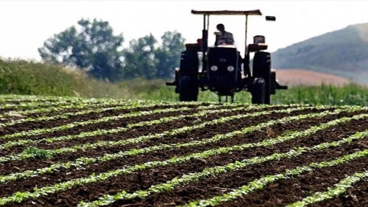 Tarımsal girişimcilere 66 milyon euro destek