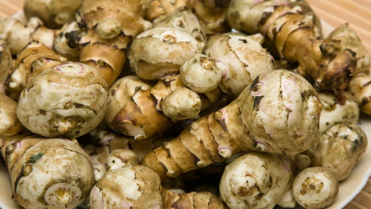 Sunro otu nelere iyi geliyor? İşte mucizeleri....