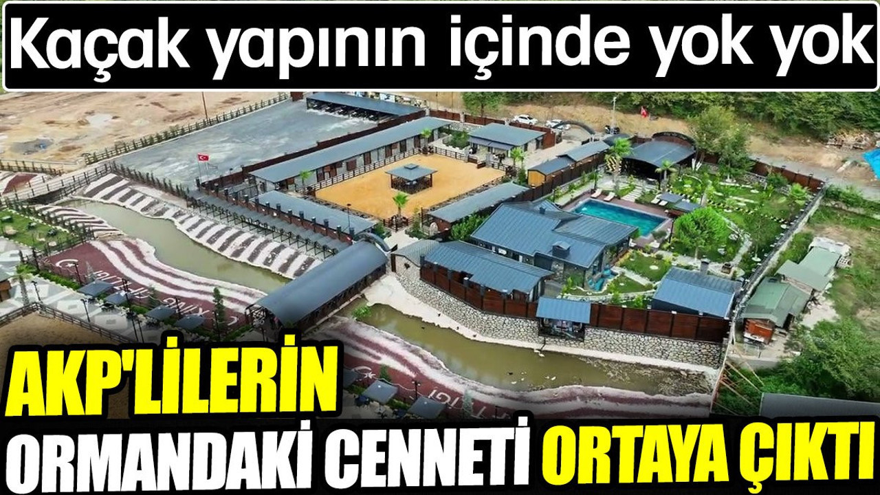 AKP'lilerin ormandaki cenneti ortaya çıktı. Kaçak yapının içinde yok yok