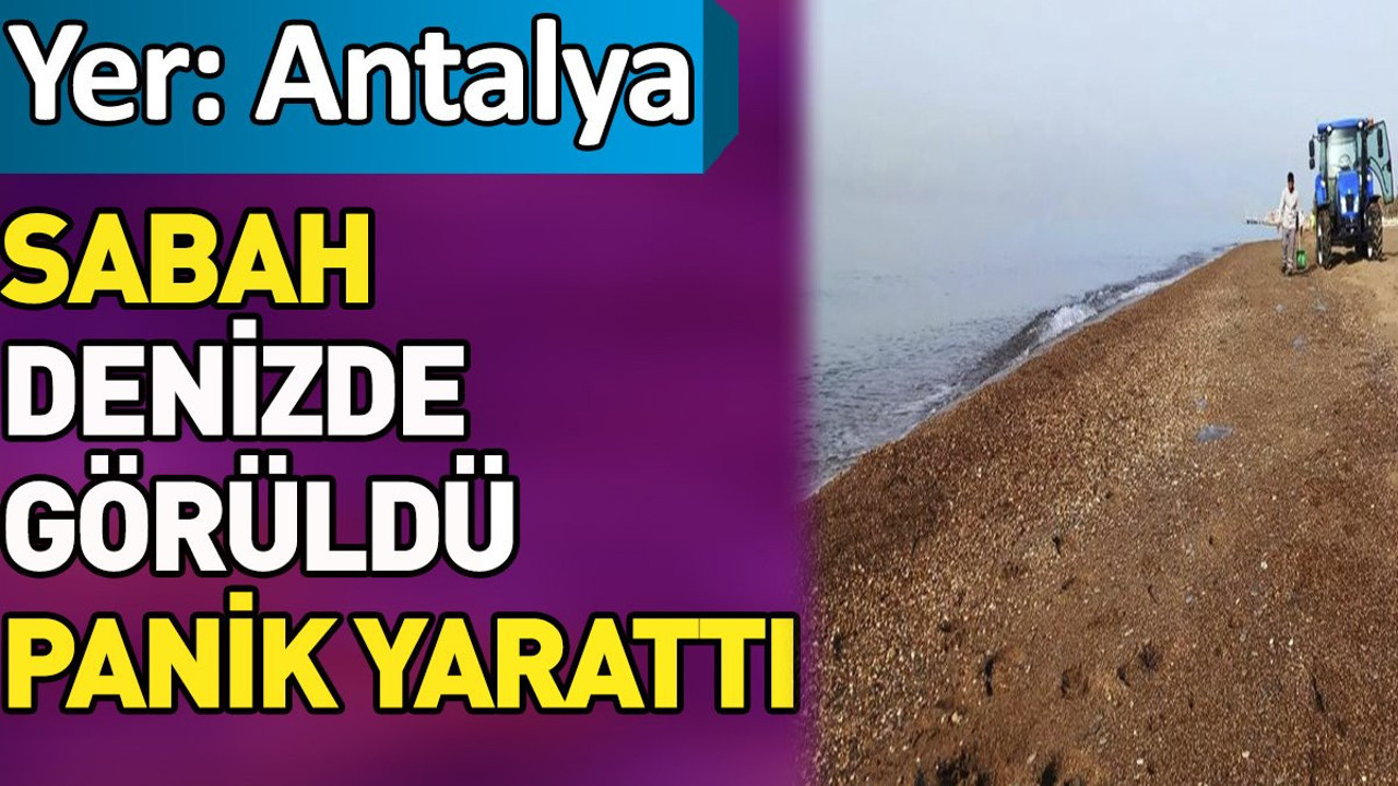 Sabah denizde görüldü panik yarattı. Yer: Antalya