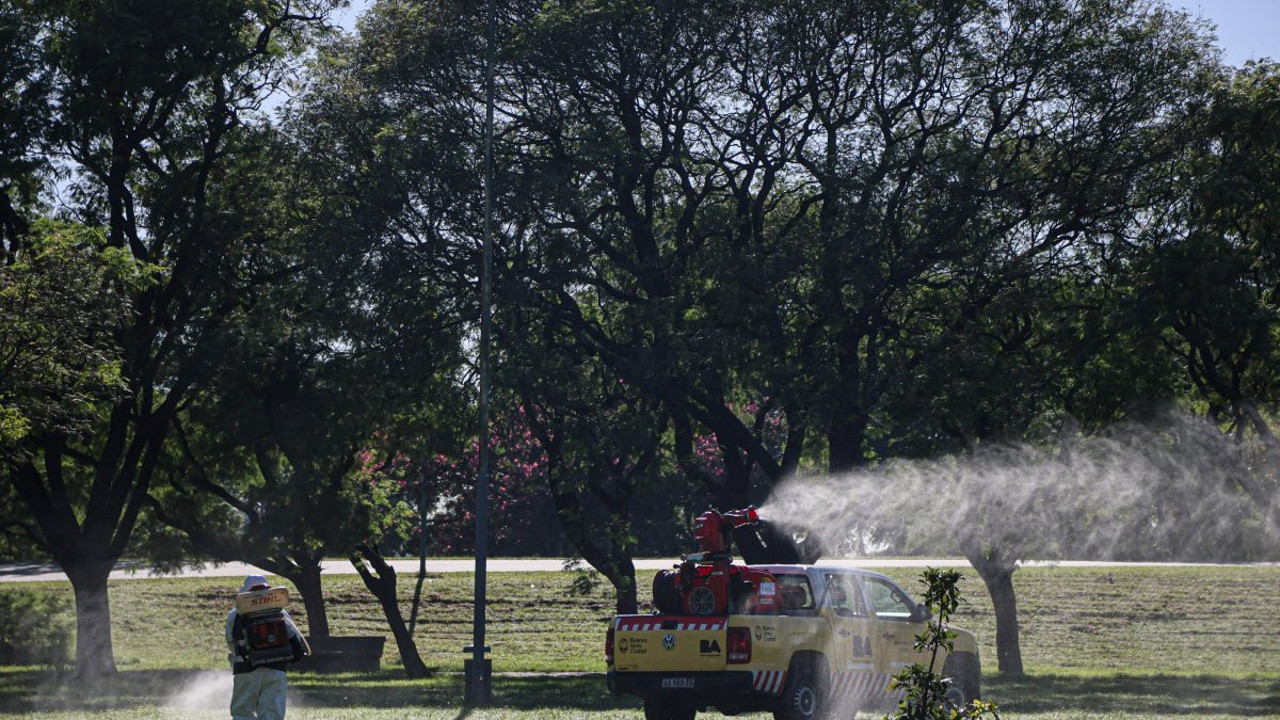 Arjantin'de dang humması vakalarında artış yaşanıyor