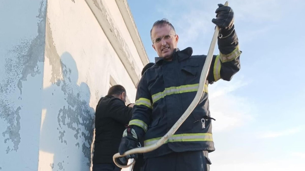 Depoya giren yılanı itfaiye ekipleri yakaladı