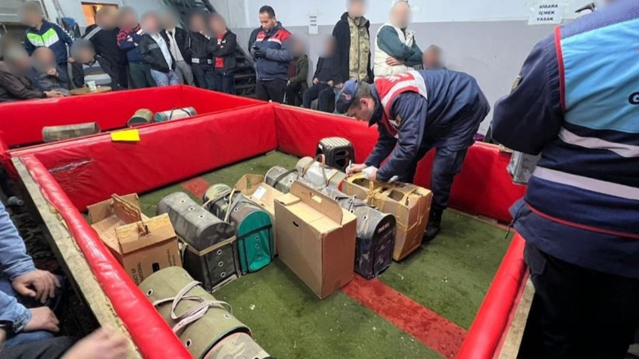 Horoz dövüştürenlere ceza yağdı