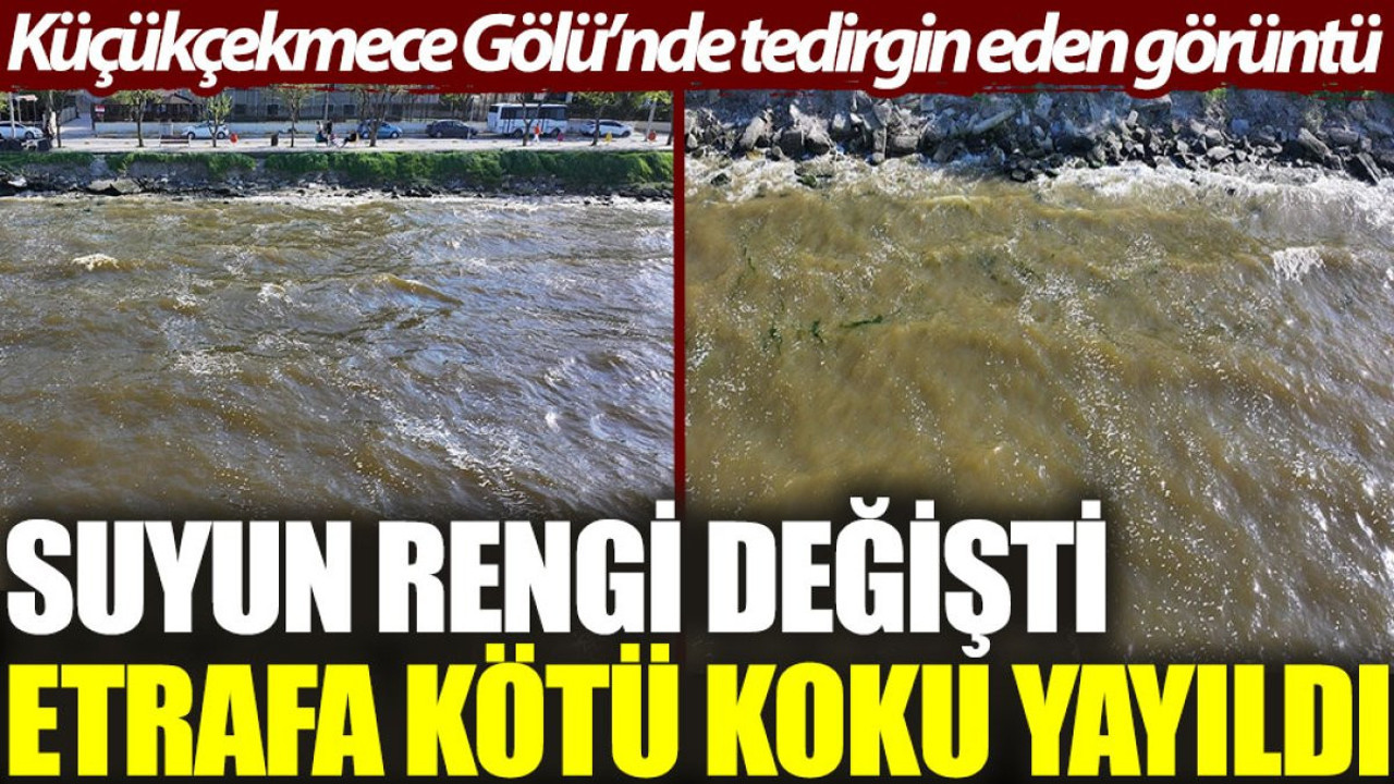 Küçükçekmece Gölü'nde tedirgin eden görüntü: Suyun rengi değişti, etrafa kötü koku yayıldı