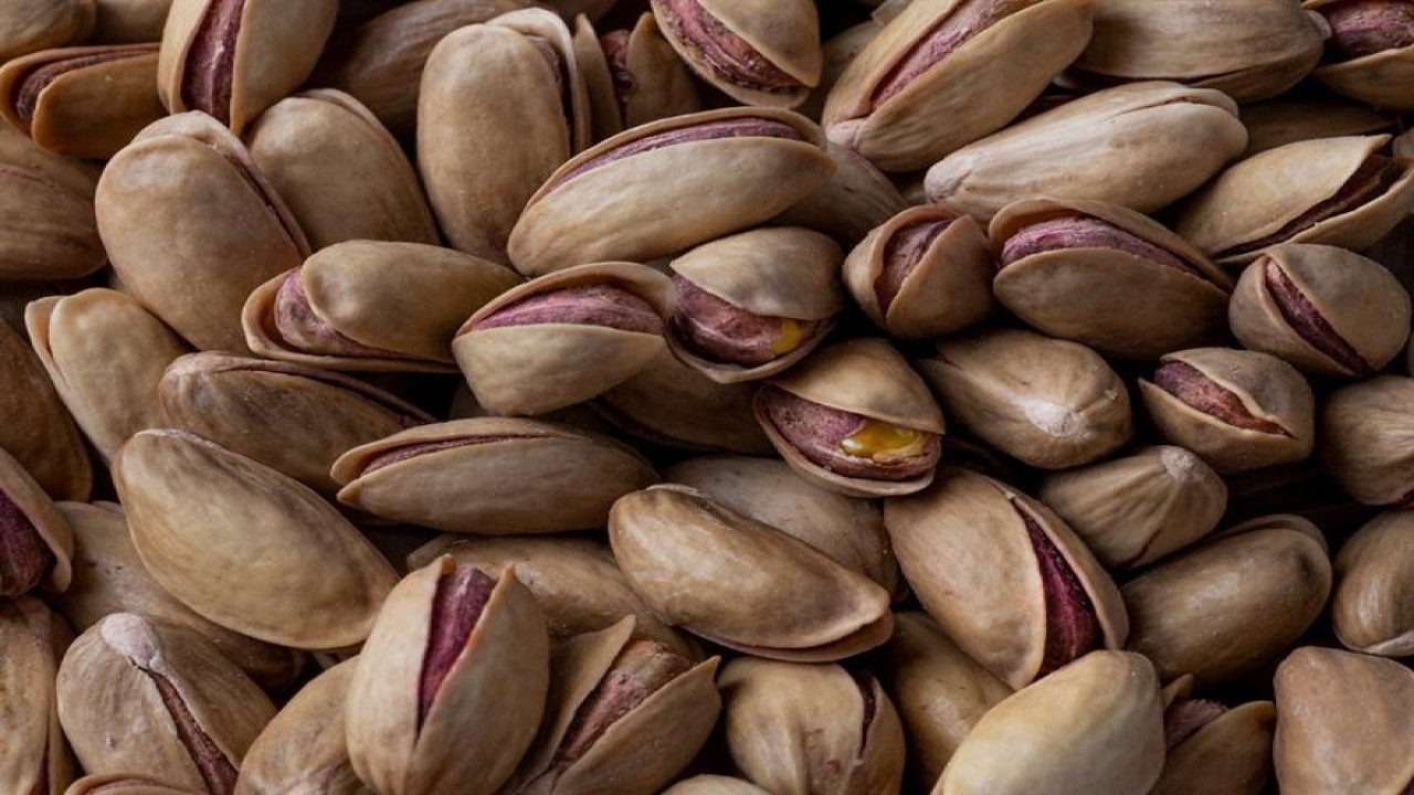 69 ülkeye 73,8 milyon dolarlık fıstık ihraç edildi