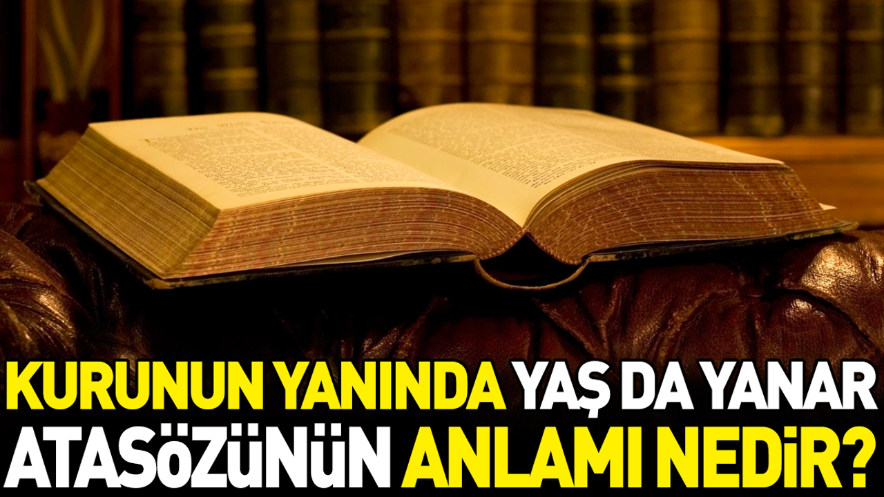 Kurunun yanında yaş da yanar atasözünün anlamı nedir?