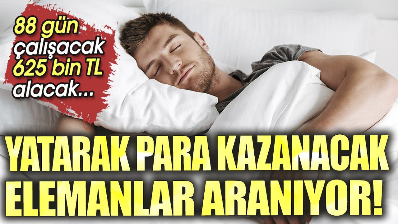 Yatarak para kazanacak elemanlar aranıyor. 88 gün çalışacak 625 bin lira alacak