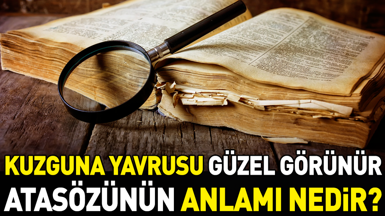 Kuzguna yavrusu güzel görünür atasözünün anlamı nedir?