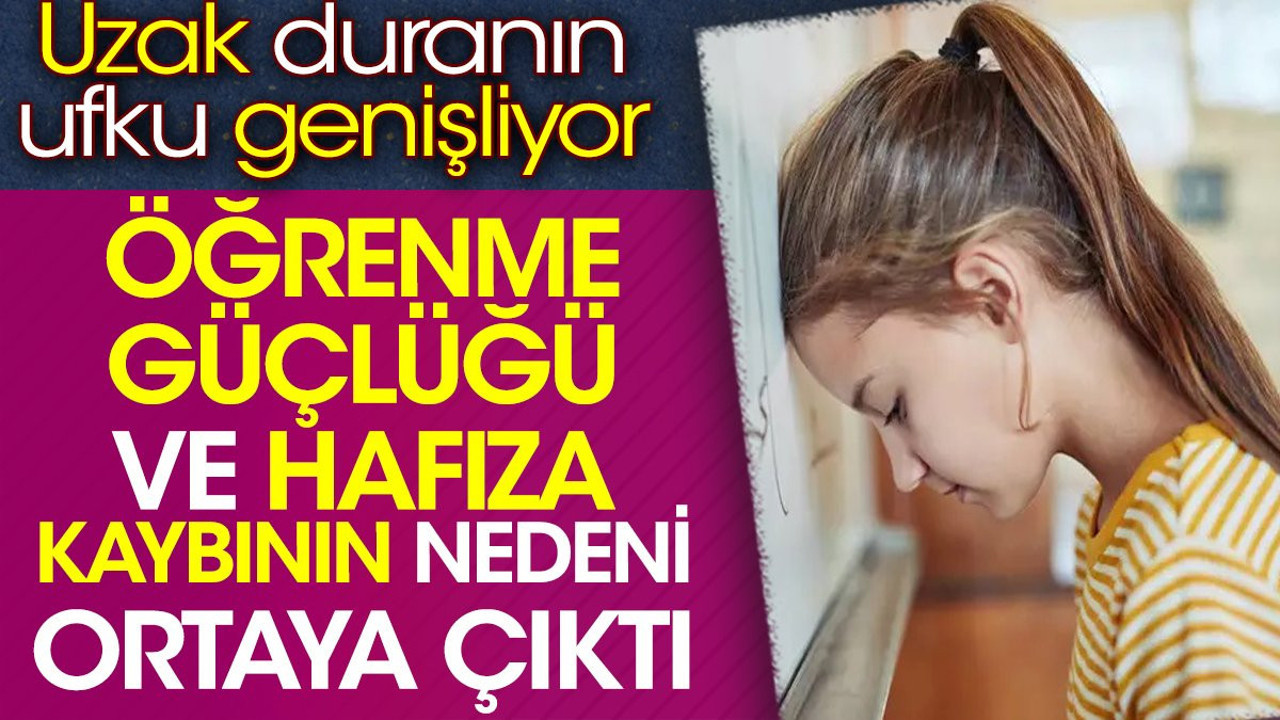 Öğrenme güçlüğü ve hafıza kaybının nedeni ortaya çıktı. Uzak duranın ufku genişliyor