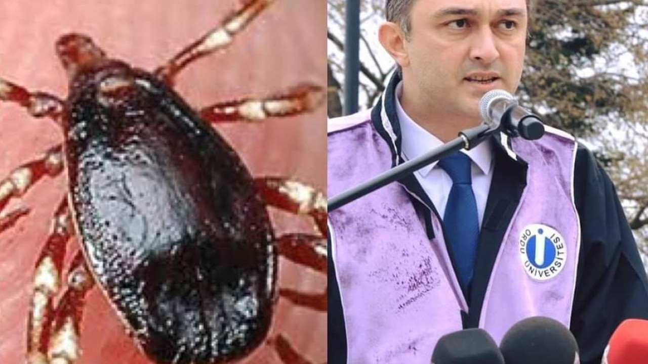 'Keneye dikkat'. Uzman isim uyardı