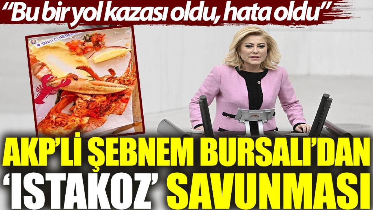 AKP’li Şebnem Bursalı’dan ‘ıstakoz’ savunması: Bu bir yol kazası oldu, hata oldu