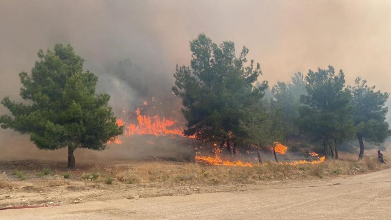 Çanakkale Valiliğinden orman yangınlarına karşı uyarı