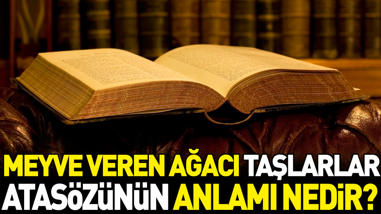 Meyve veren ağacı taşlarlar atasözünün anlamı nedir?
