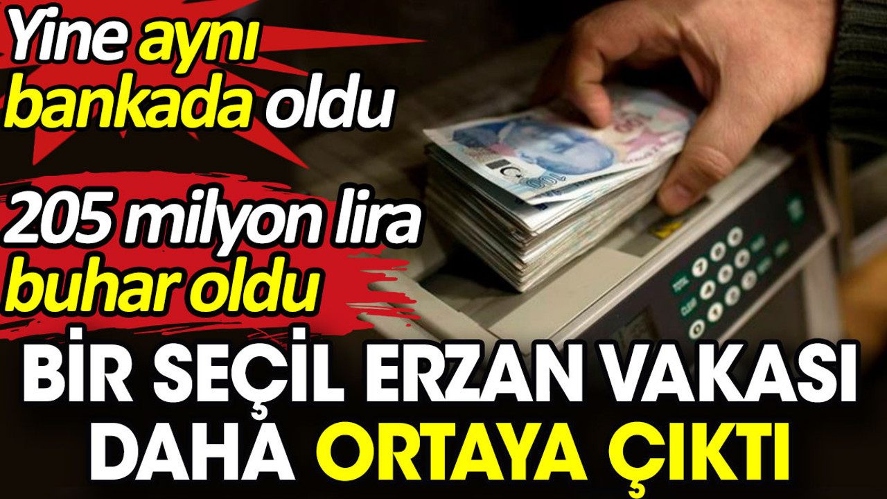 Bir Seçil Erzan vakası daha ortaya çıktı. 205 milyon lira buhar oldu