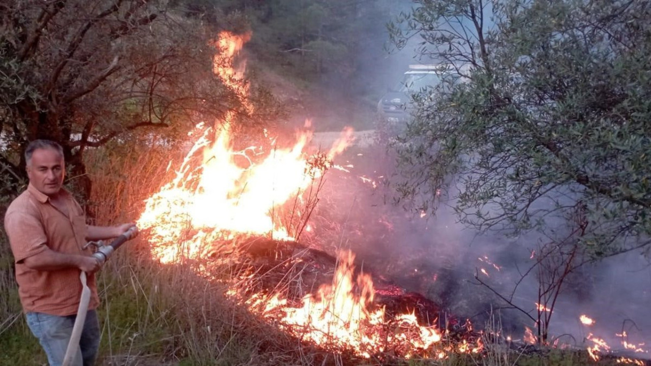 Hatay’da ormanlık alanda yangın