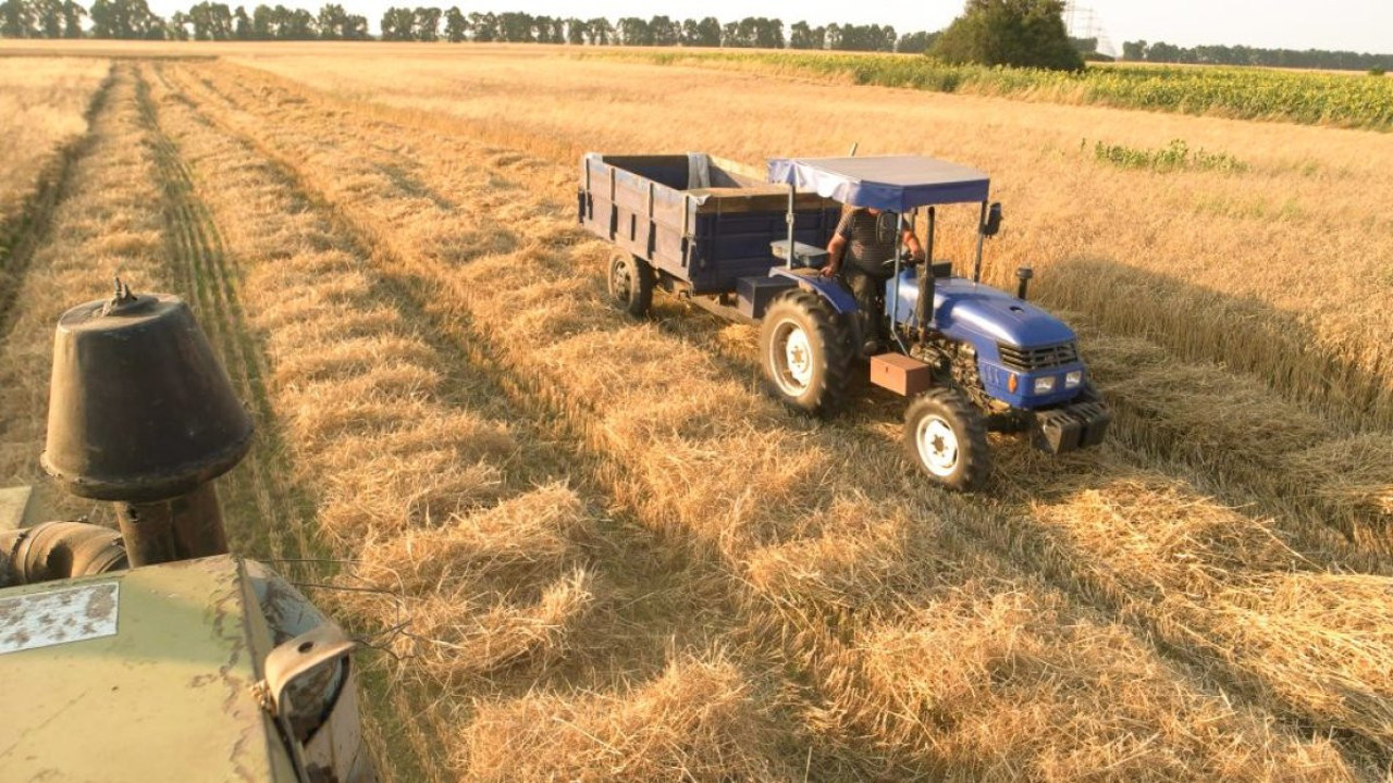 Tarımsal girdi enflasyonunda artış (19 Nisan 2024)