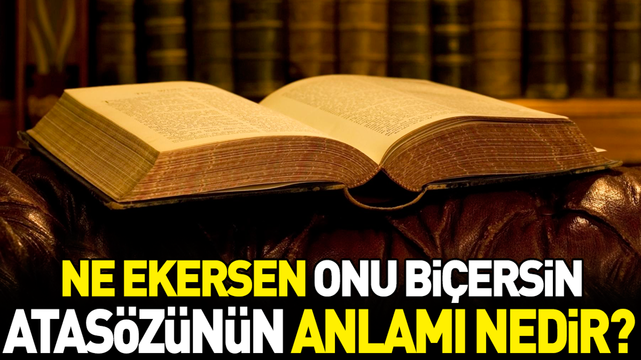 Ne ekersen onu biçersin atasözünün anlamı nedir?