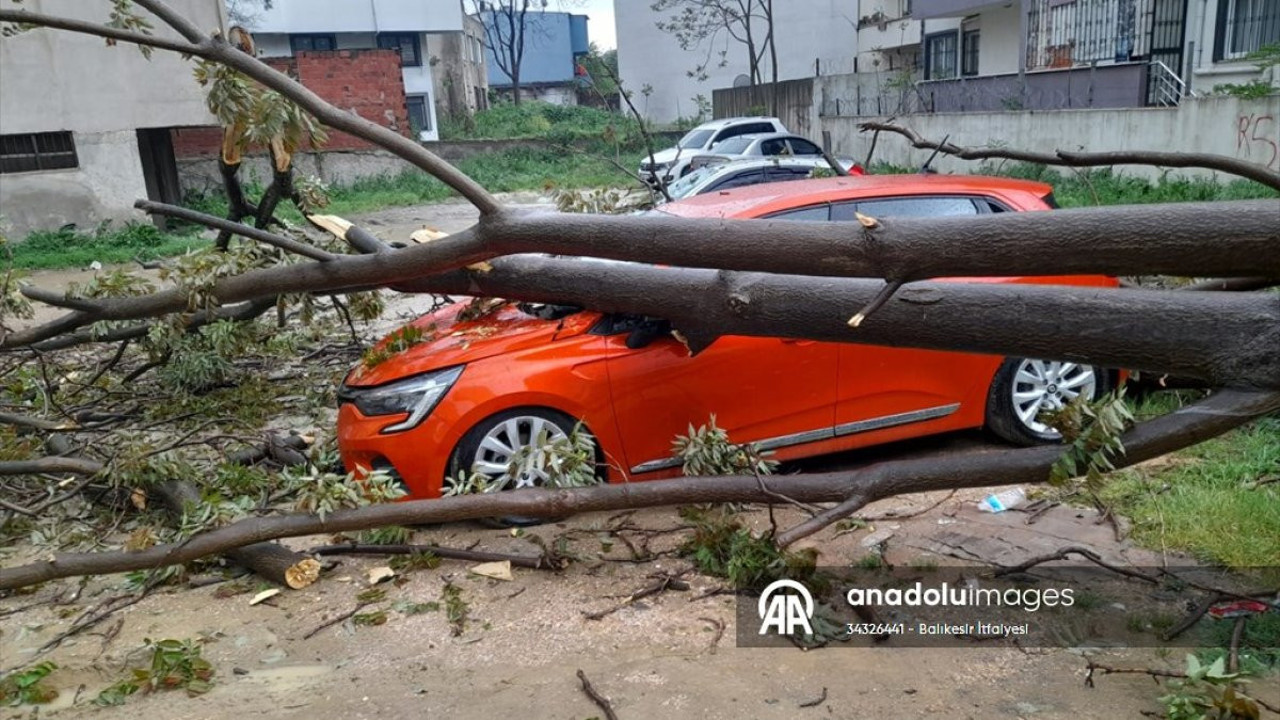 Balıkesir'de ağaç otomobile devrildi