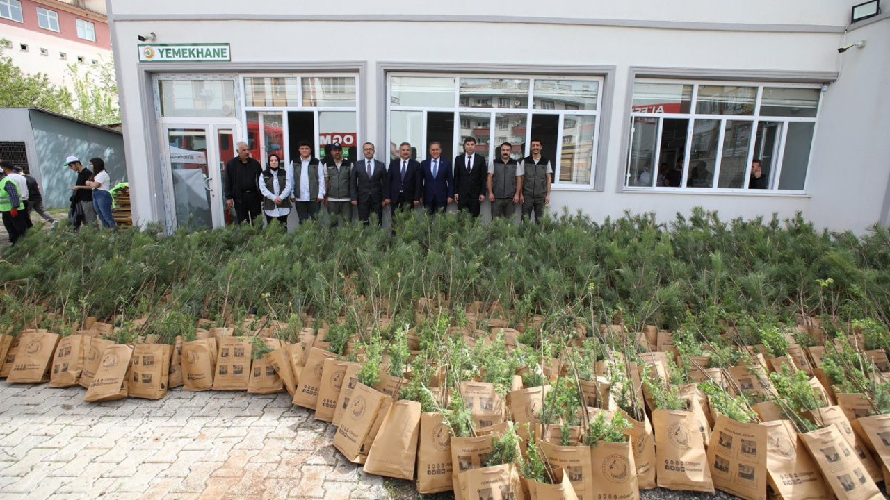 Bingöl'de vatandaşlara fidan dağıtıldı