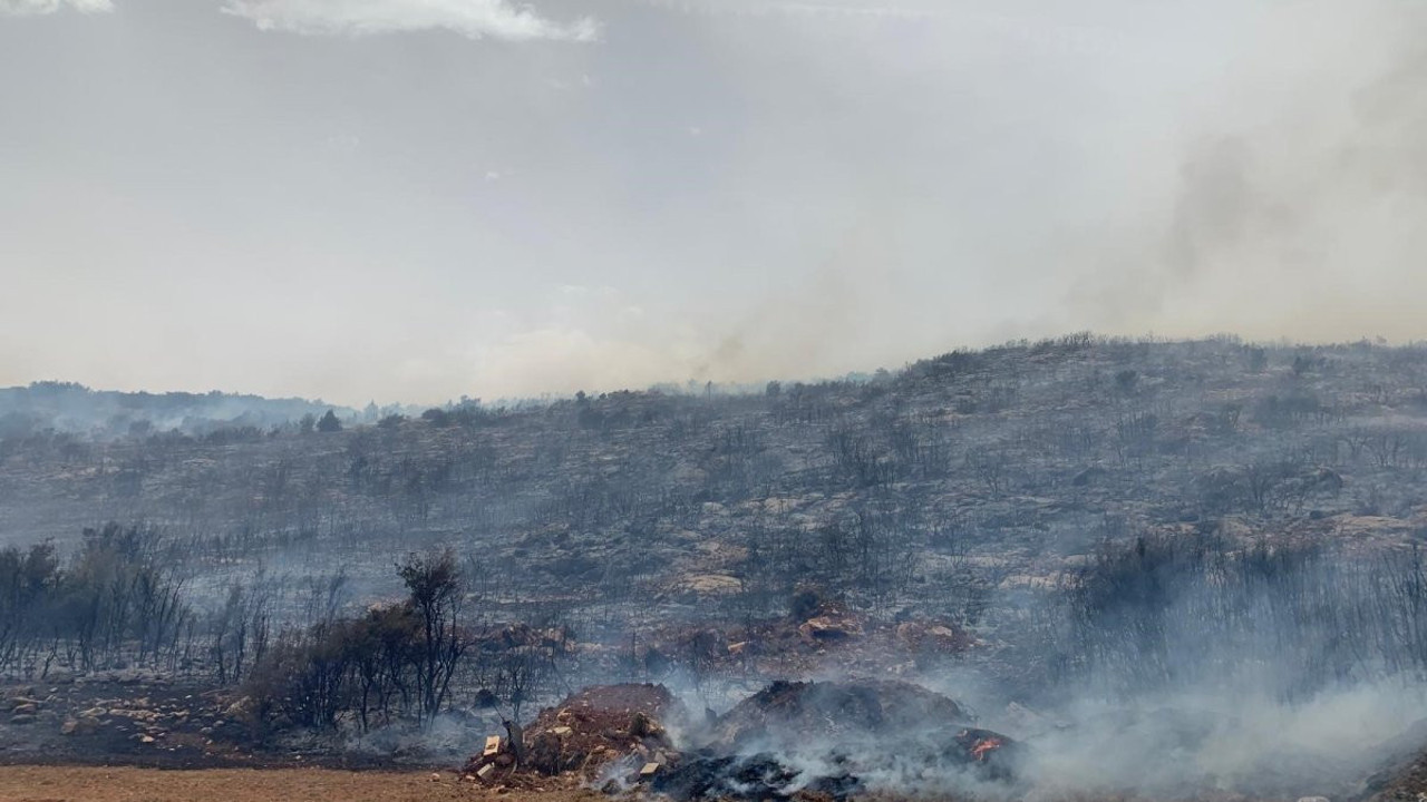 Antalya’da 60 dönümlük çalılık alan kül oldu