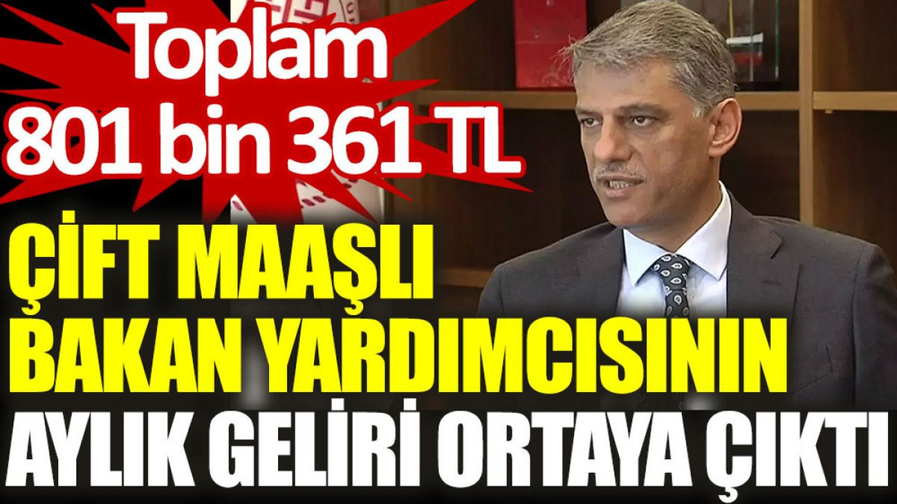 Çift maaşlı bakan yardımcısının aylık geliri ortaya çıktı: Toplam 801 bin 361 TL