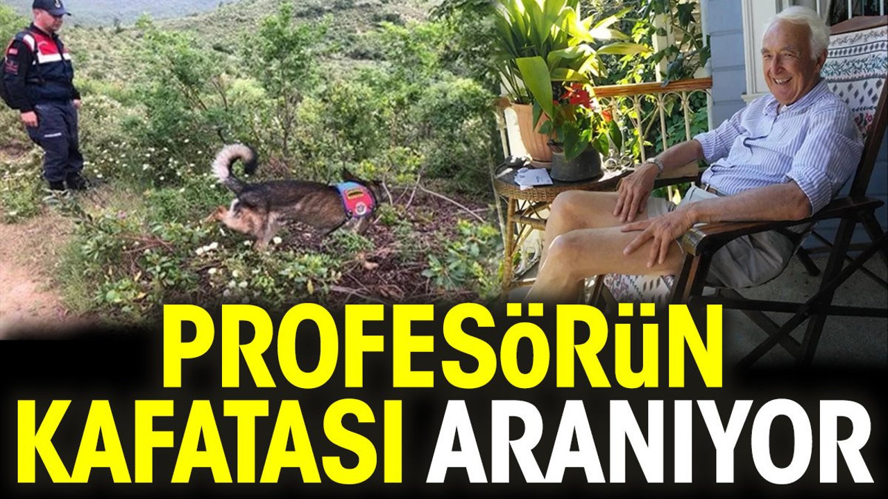 Profesörün kafatası aranıyor
