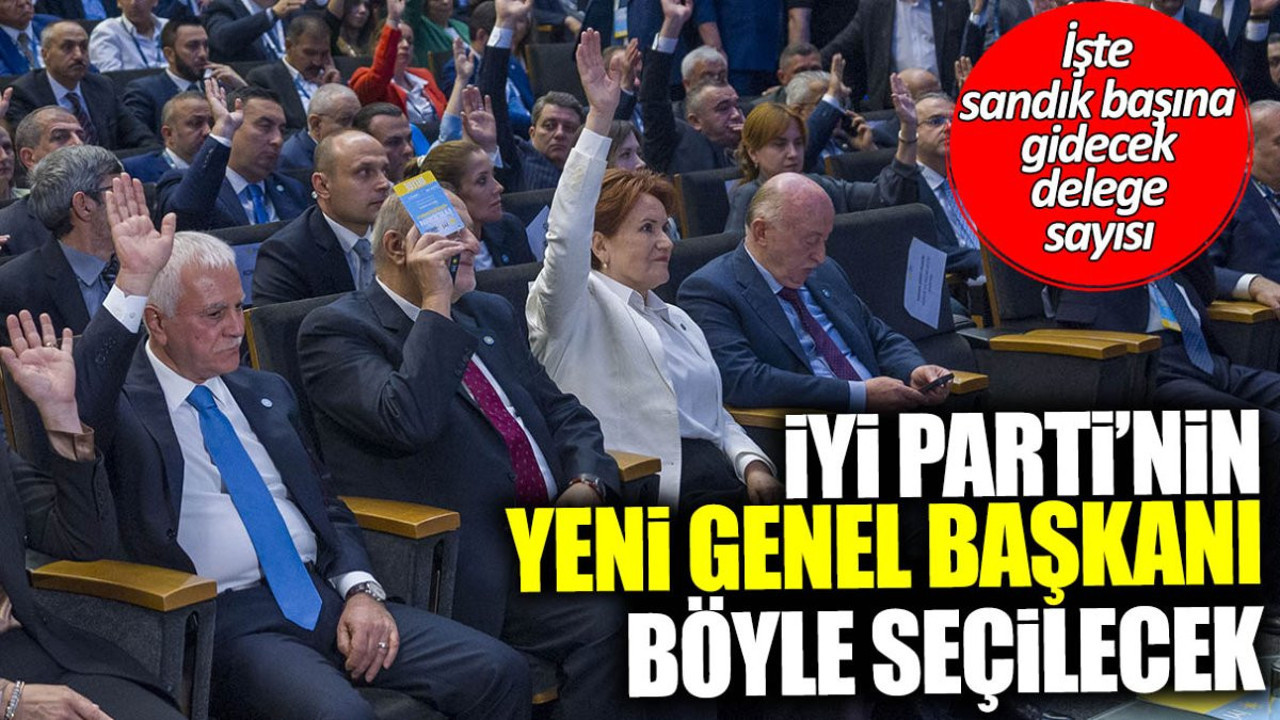 İYİ Parti'nin yeni genel başkanı böyle seçilecek! İşte kurultayda oy kullanacak delege sayısı