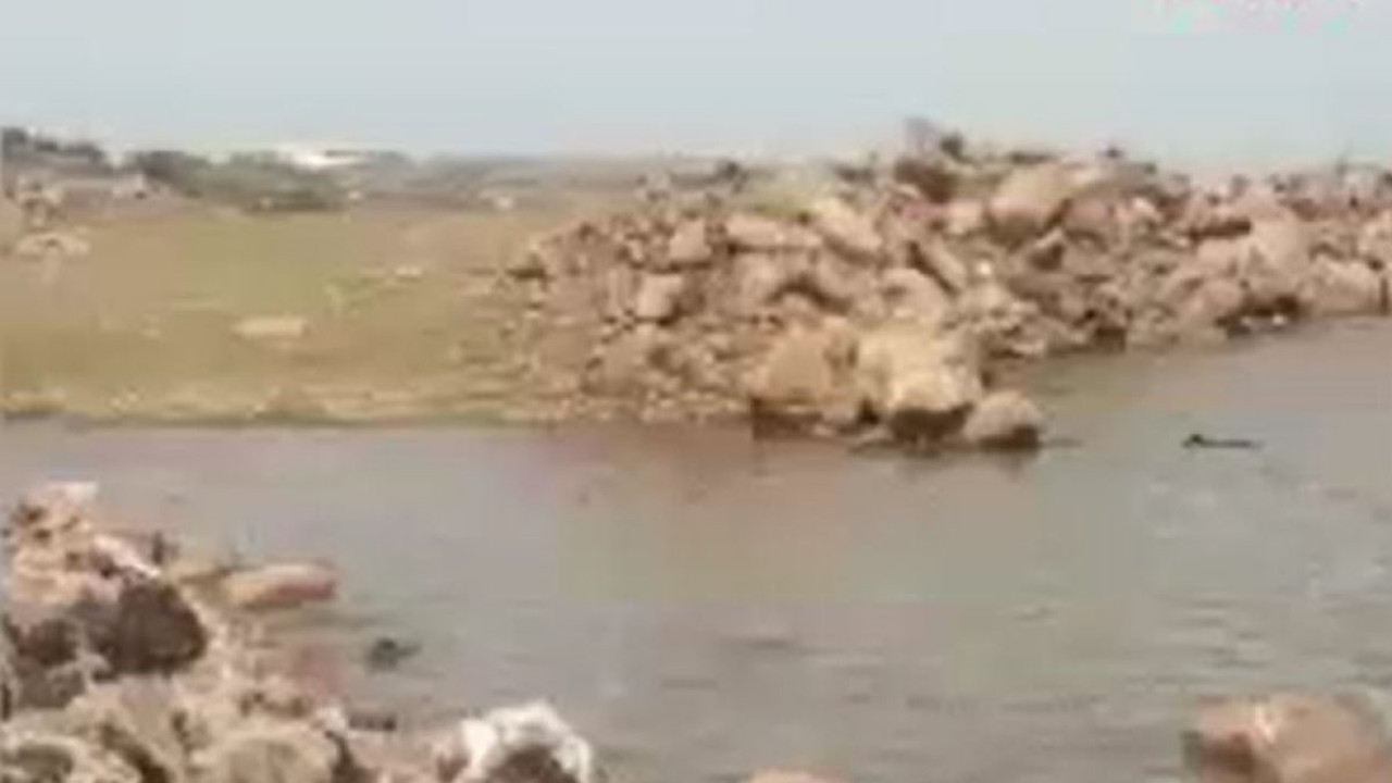 Diyarbakır’da kayıp olarak aranan çobanın gölette cansız bedeni bulundu