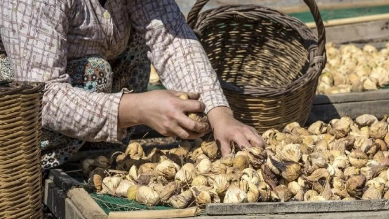Türkiye’nin kuru meyve ihracı arttı