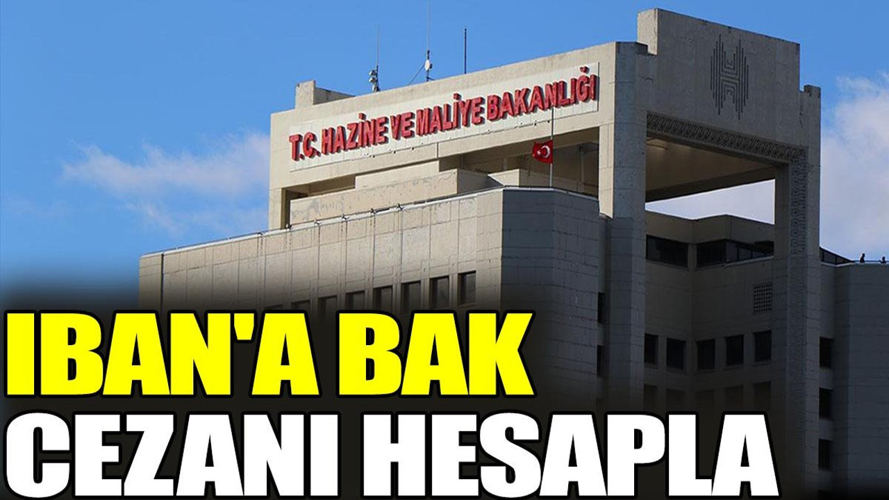 IBAN'a bak cezanı hesapla