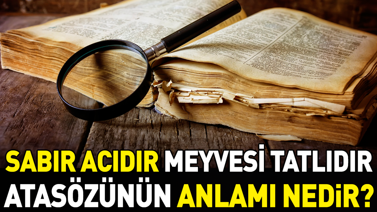 Sabır acıdır meyvesi tatlıdır atasözünün anlamı nedir?