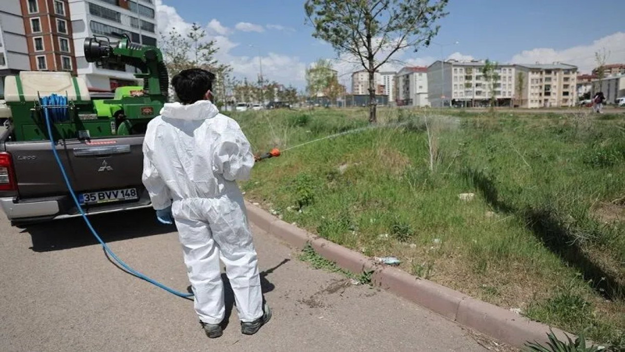 Ölümcül vakalar bahar aylarında arttı. Uzmanlardan uyarılar geldi