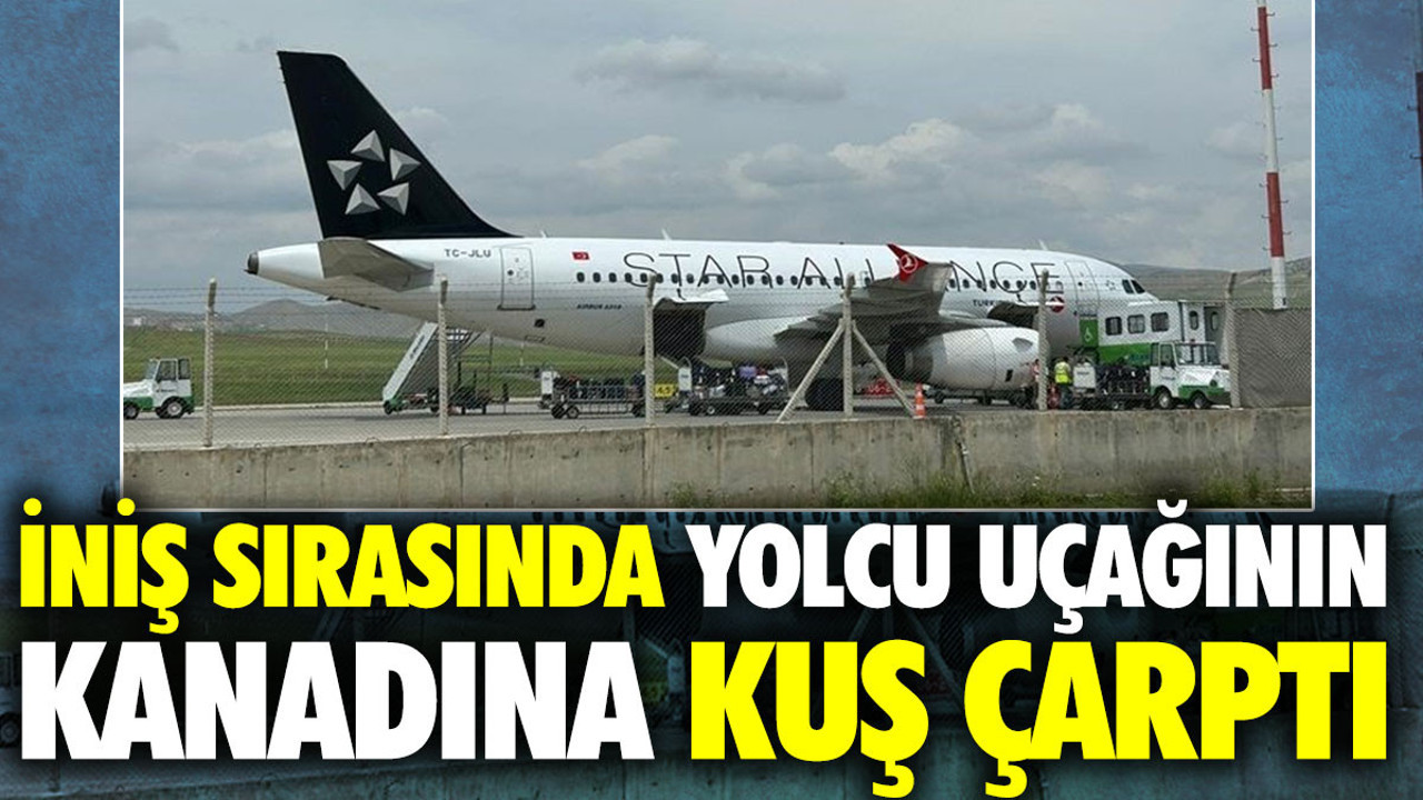 İniş sırasında yolcu uçağının kanadına kuş çarptı