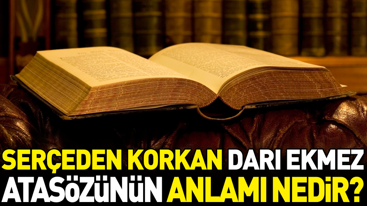 Serçeden korkan darı ekmez atasözünün anlamı nedir?