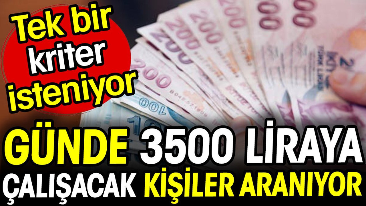 Günde 3500 TL'ye çalışacak kişiler aranıyor. Tek bir kriter isteniyor