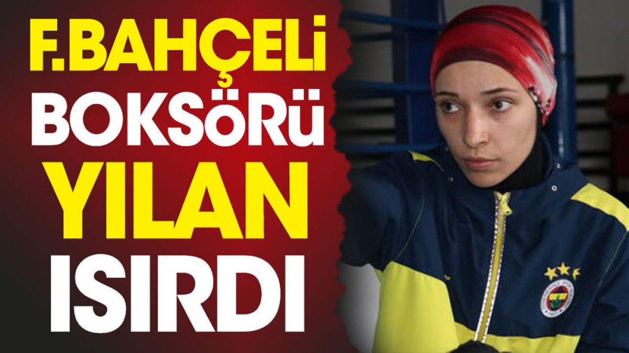 Fenerbahçeli milli boksörü yılan ısırdı yoğun bakıma kaldırıldı