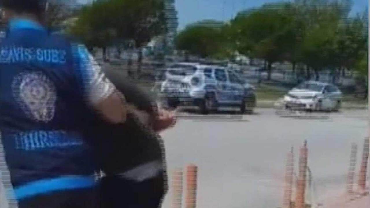 Ev fareleri 81 saatlik kamera kaydı ile yakalandı