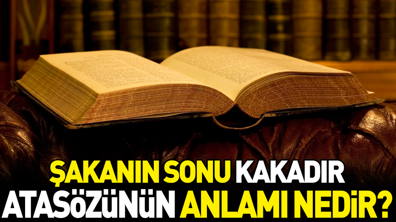 Şakanın sonu kakadır atasözünün anlamı nedir?