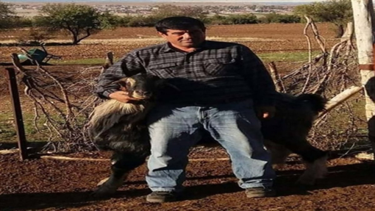 Kefil olduğu arkadaşını, borçlarını ödemediği gerekçesiyle öldürdü