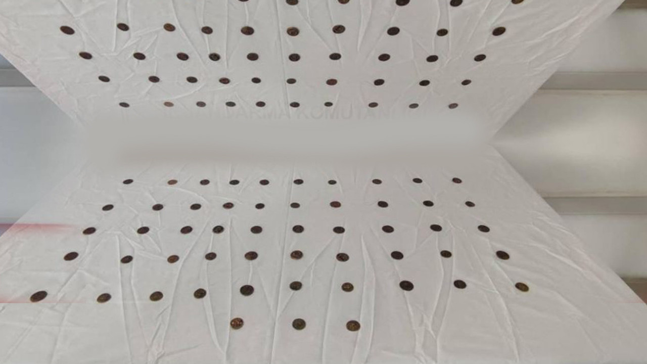 Kocaeli’de tam 53 tane bulundu! Antik Yunan dönemine ait