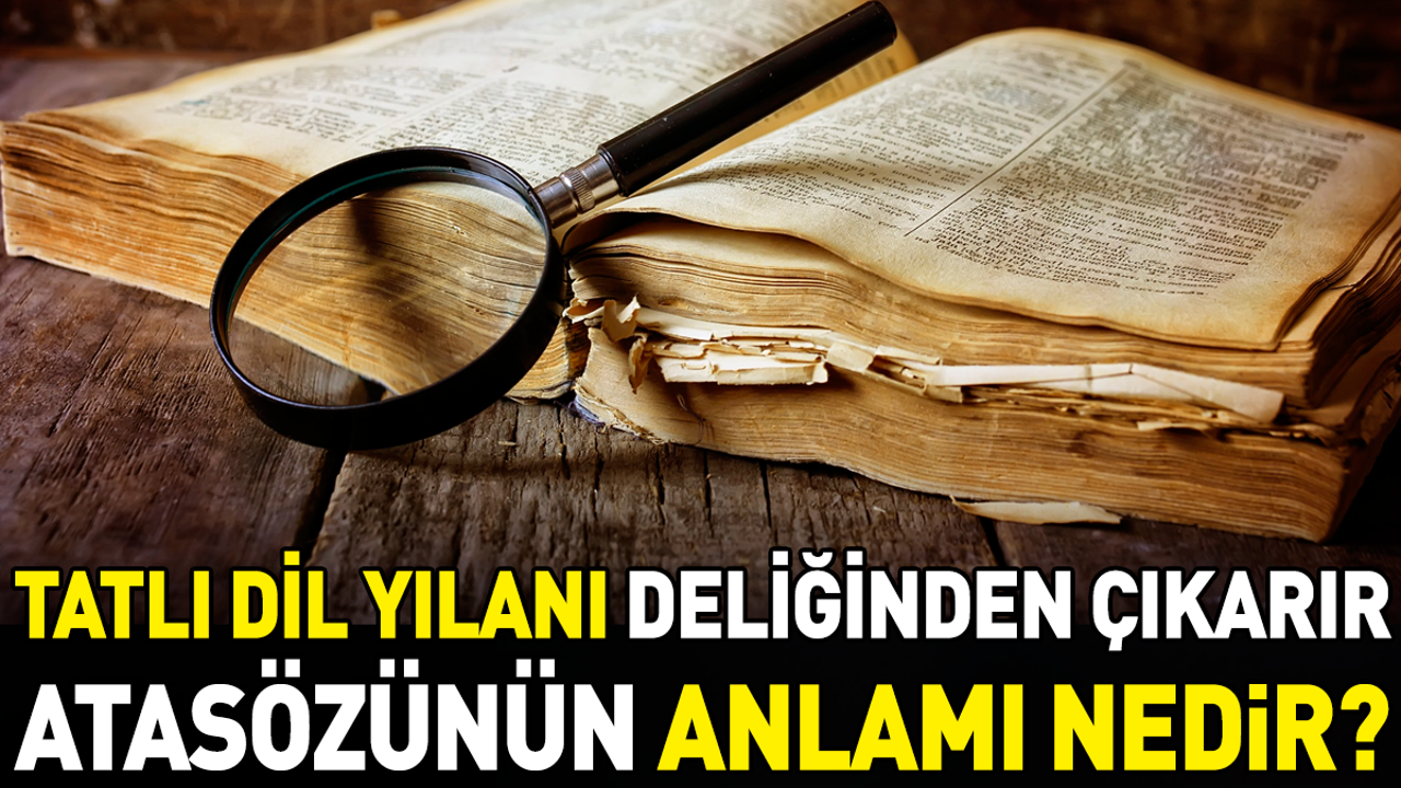 Tatlı dil yılanı deliğinden çıkarır atasözünün anlamı nedir?