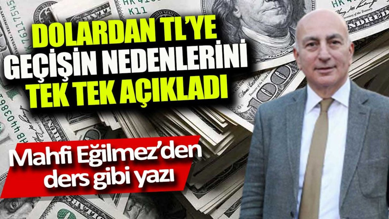 Mahfi Eğilmez'den ders gibi yazı. Dolardan TL'ye geçişin nedenlerini tek tek açıkladı