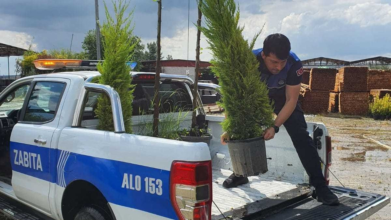 Esnafa kestiği ağaç için 5 fidan hibe cezası