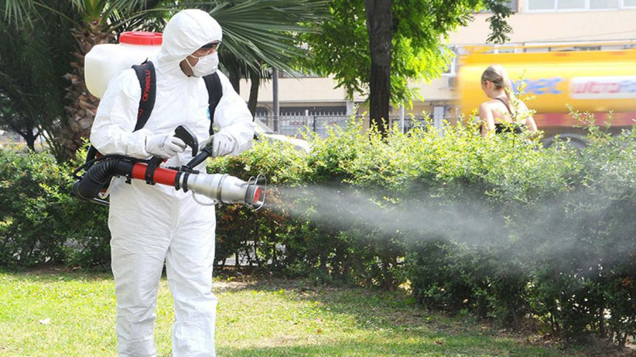 Uzmanlardan keneler ve evcil hayvanlar uyarıları