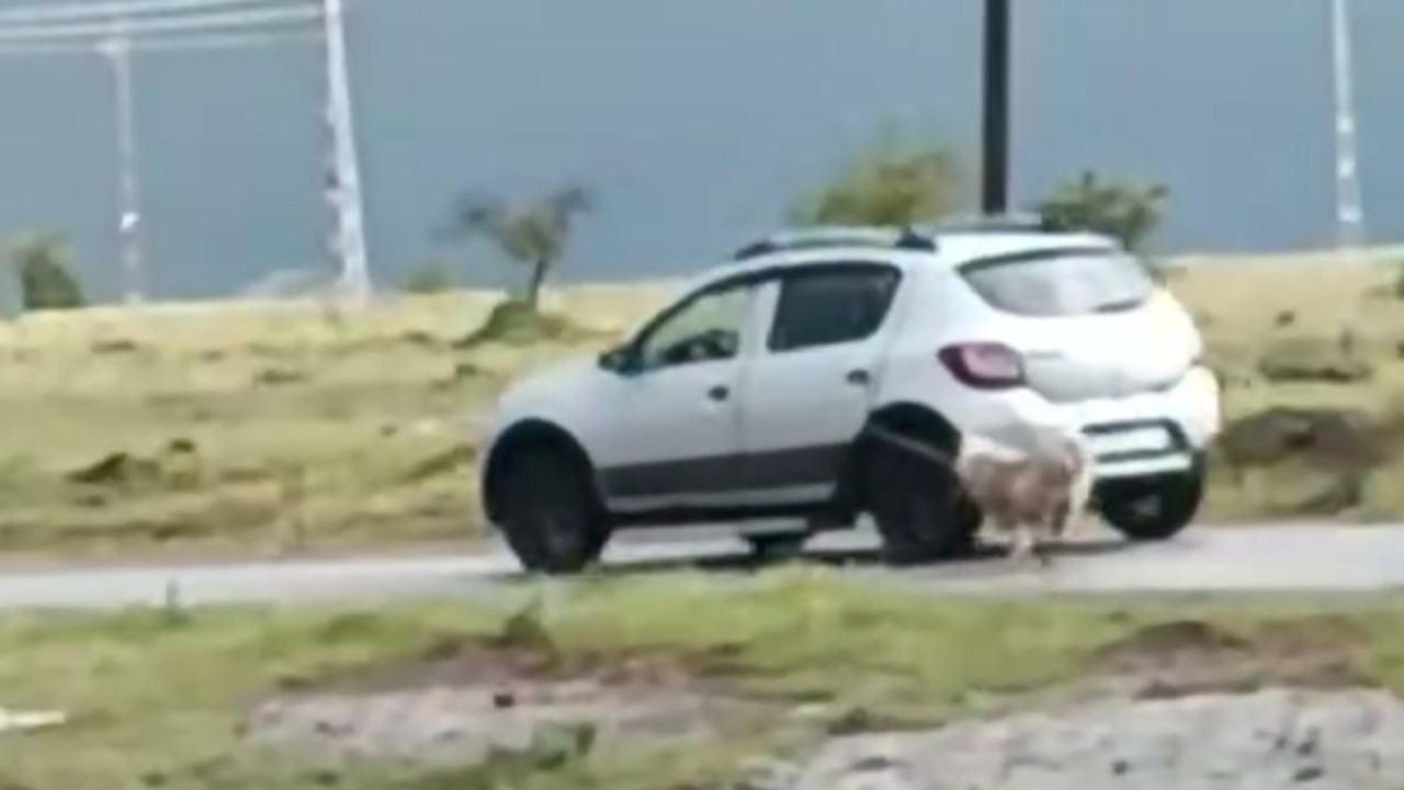 Vicdansız şahıs köpeği aracına bağlayıp sürükledi